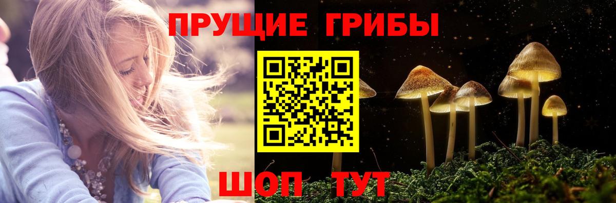 Псилоцибиновые грибы Psilocybine cubensis  Вход с VPN  Черемхово 